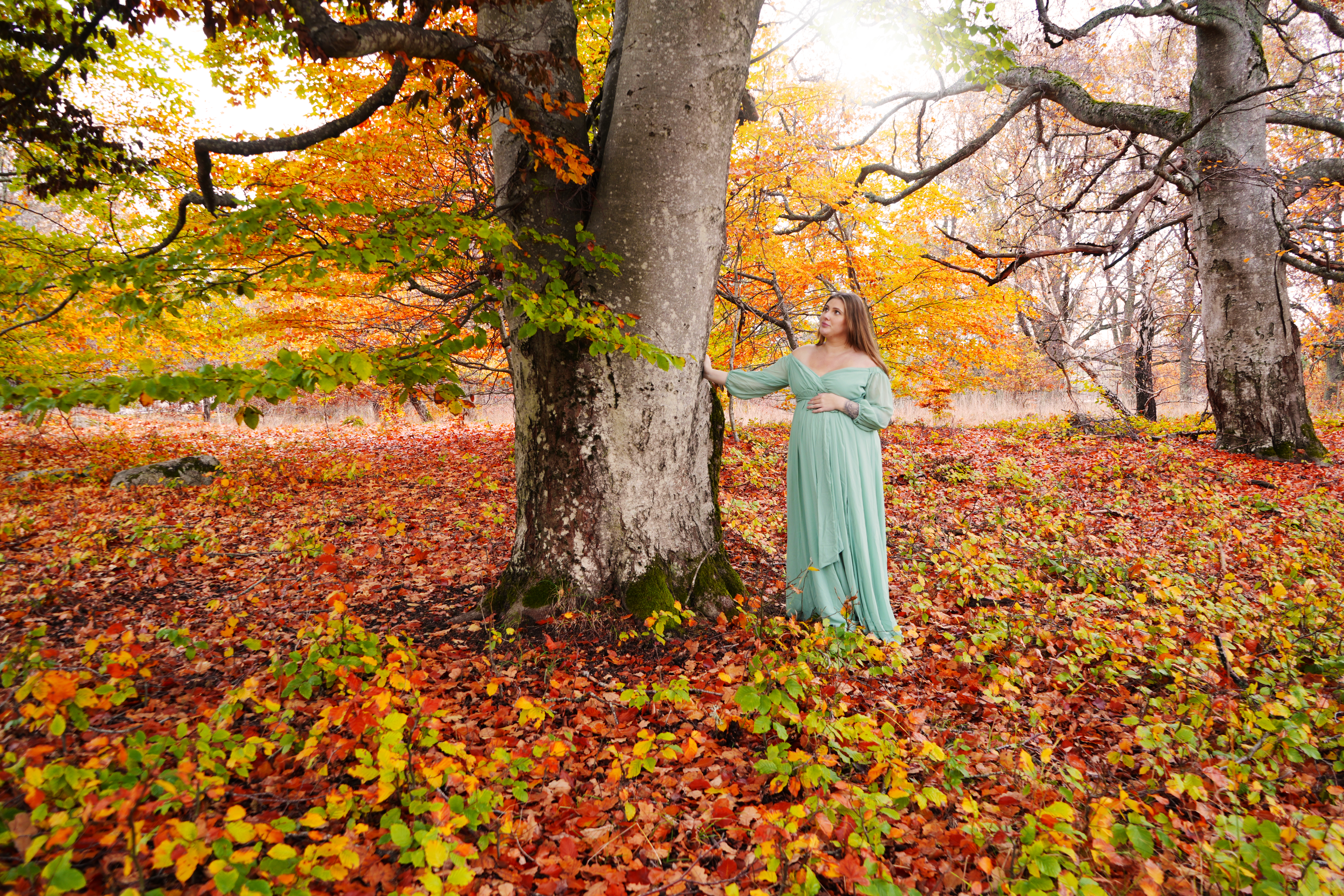 Gravidfotografering